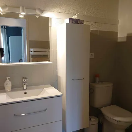 Apartment 4pa22 - Dans Avec Piscine Et Parking Collioure