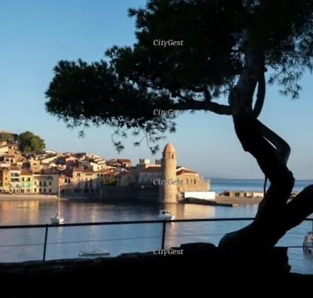 4pa22 - Dans Avec Piscine Et Parking Apartment Collioure